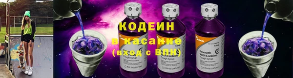 прущие грибы Нея