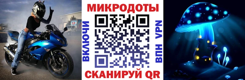 mega tor  Злынка  Галлюциногенные грибы Psilocybine cubensis  дарнет шоп 